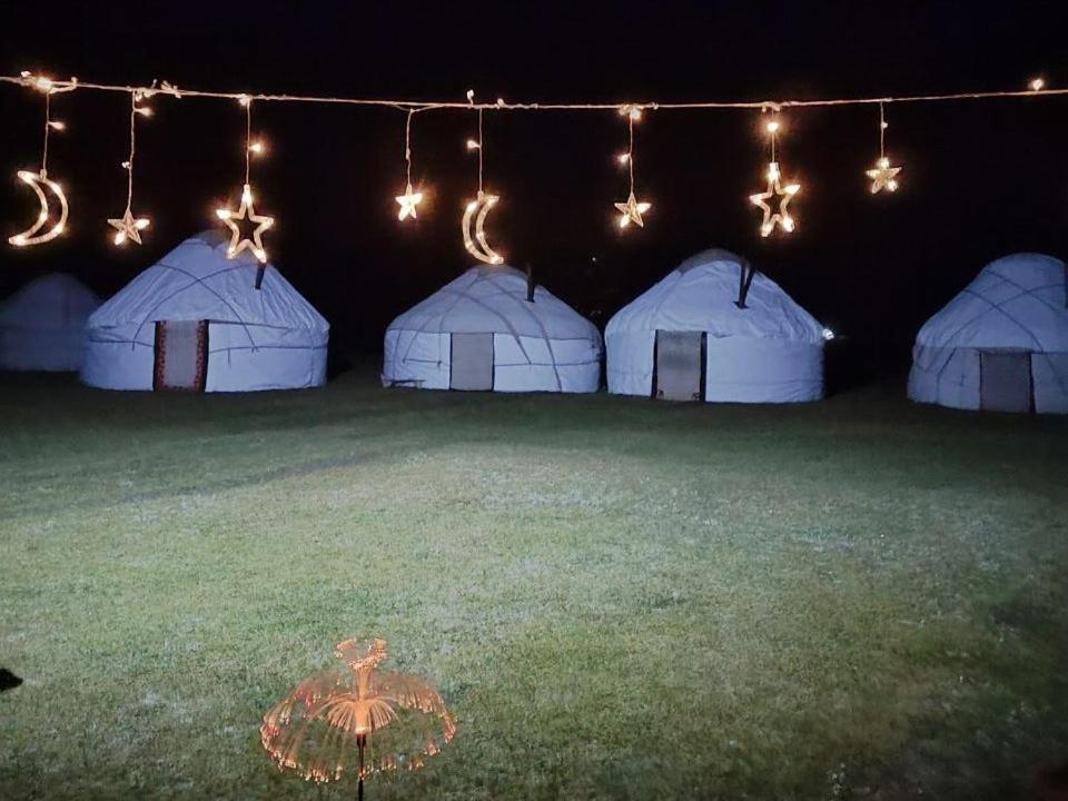 Hotel Zalkar Yurt Camp à Song-Kul Extérieur photo