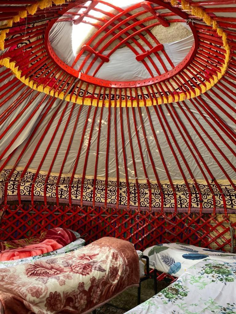 Hotel Zalkar Yurt Camp à Song-Kul Extérieur photo